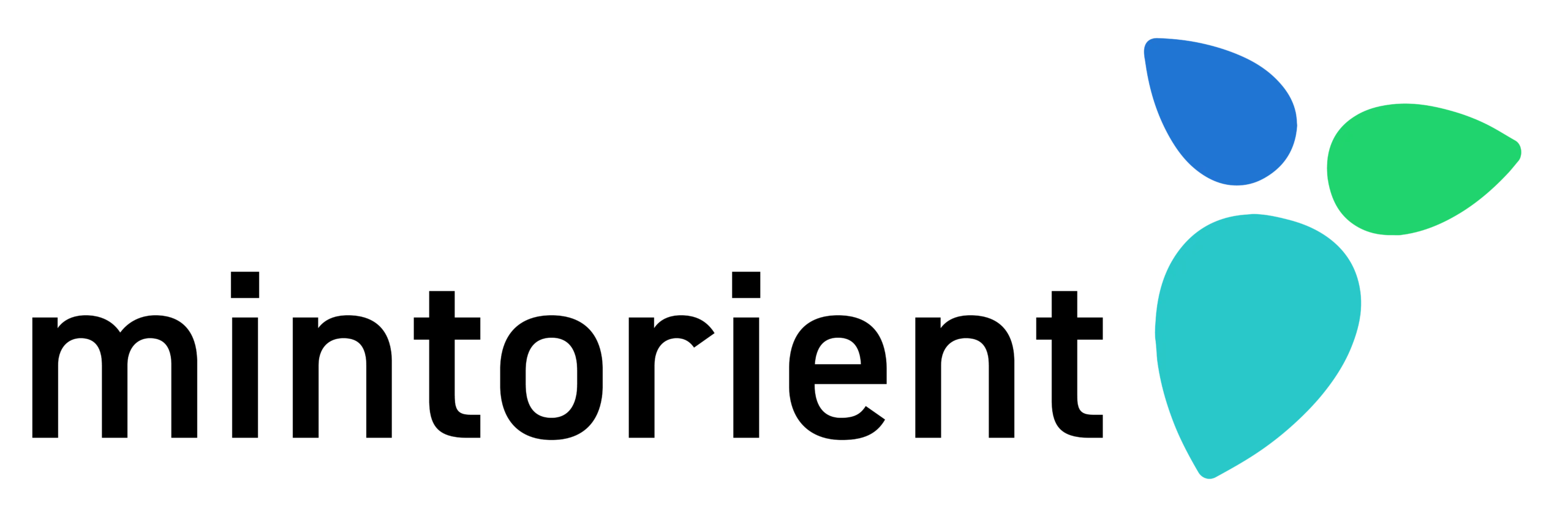 Mintorient logo